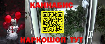 крисы Беслан