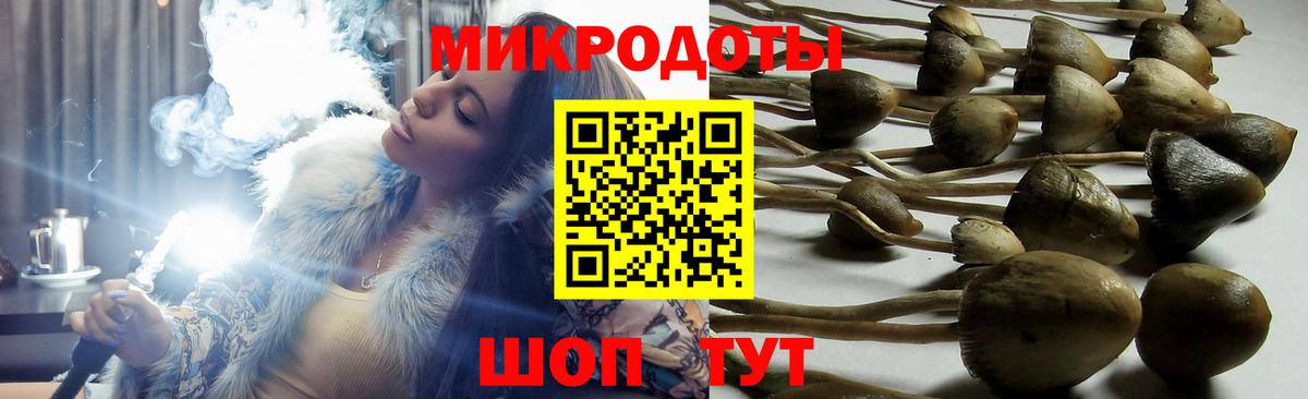 Галлюциногенные грибы Magic Shrooms  Галлюциногенные грибы MAGIC MUSHROOMS  Вход с VPN  Кимовск 